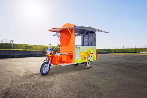Gayatri Electric Dabang E-Food Cart thumbnail